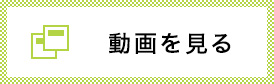 動画を見る